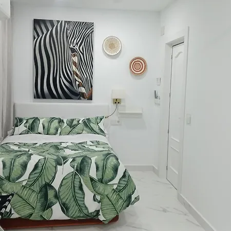 Moneiba Centro Apartment *