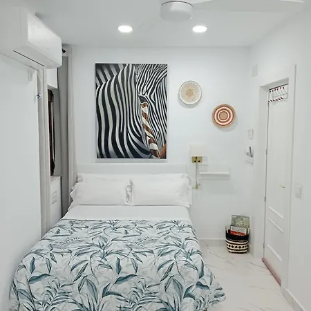 Moneiba Centro Apartment *