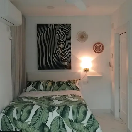 Apartment Moneiba Centro