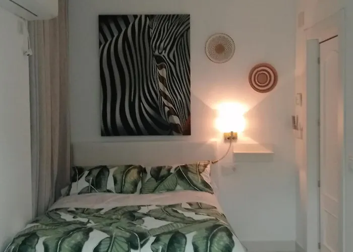 Apartment Moneiba Centro